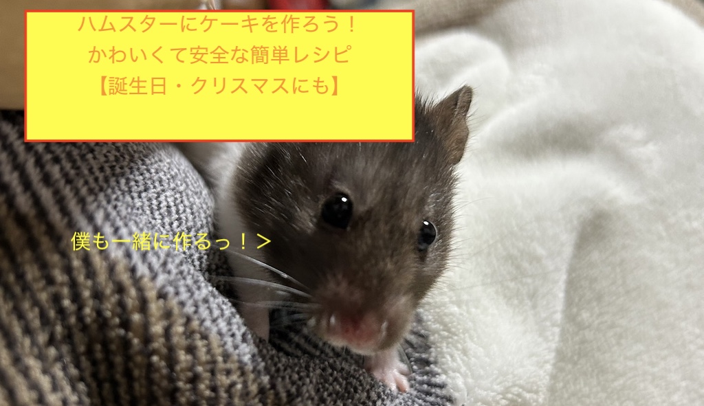 ハムスターにケーキを作ろう！かわいくて安全な簡単レシピ【誕生日・クリスマスにも】のアイキャッチ画像です。