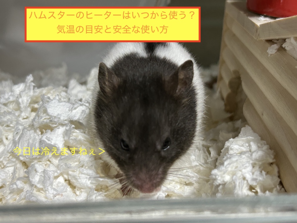 ハムスターのヒーターはいつから使う？気温の目安と安全な使い方のアイキャッチ画像です。