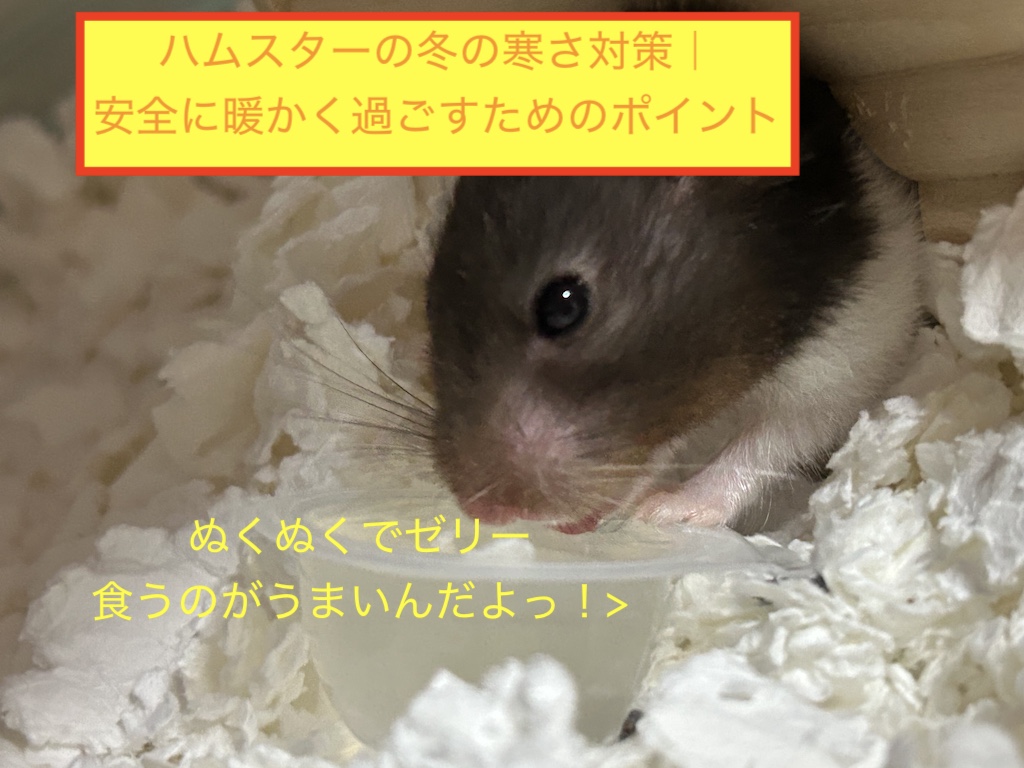 ハムスターの冬の寒さ対策｜安全に暖かく過ごすためのポイントのブログアイキャッチ画像です。